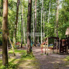 50 соток, участок - изображение 2