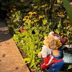 25 м², комната - изображение 2