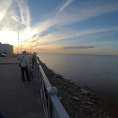 Квартира 49 м², 1-комнатная - изображение 2