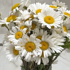 17 соток, участок - изображение 2