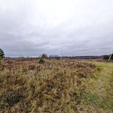 1,2 га, участок - изображение 4