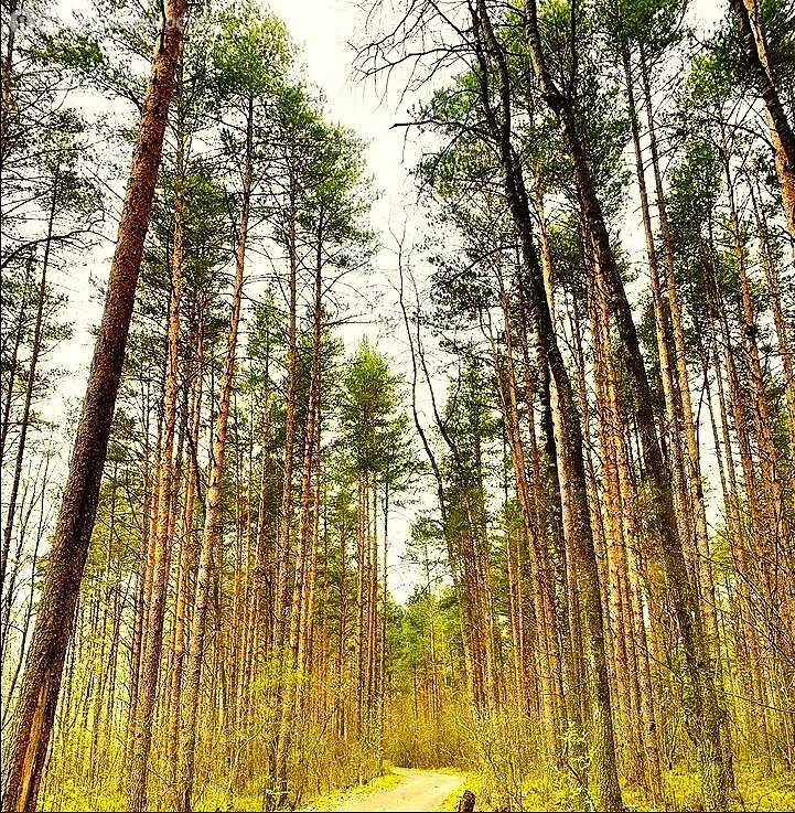 Дом в Рыбинск, проспект Революции, 38 (58 м²)