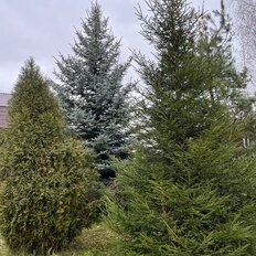 дом + 15 соток, участок - изображение 5