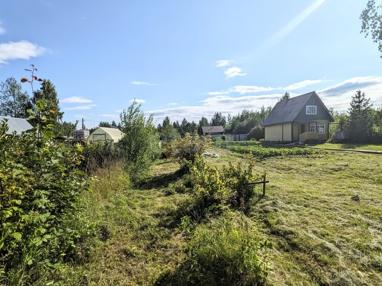 Дом 2-комн. 35 м² в СТ Лесное — фото 30 из 30