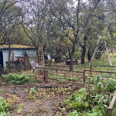 20 соток, участок - изображение 5