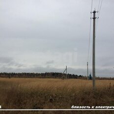 7,7 га, участок - изображение 2