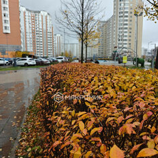 Квартира 37,8 м², 1-комнатная - изображение 1