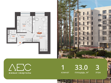 Квартира 33 м², 1-комнатная - изображение 1