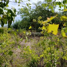 6,5 га, участок - изображение 4