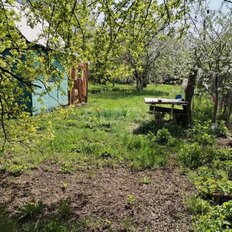 8 соток, участок - изображение 1