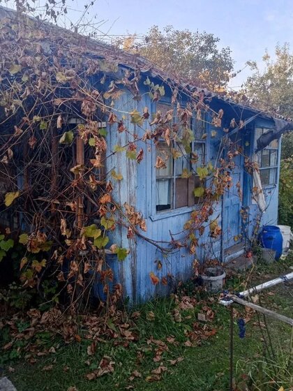11,7 сотки, участок 970 000 ₽ - изображение 23