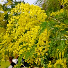 Квартира 30 м², студия - изображение 2