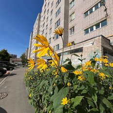 Квартира 50 м², 2-комнатная - изображение 1