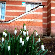 Квартира 28 м², студия - изображение 5