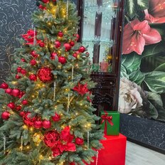 таунхаус + 2 сотки, участок - изображение 2