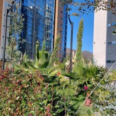 Квартира 26,8 м², студия - изображение 5