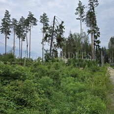 6 соток, участок - изображение 5