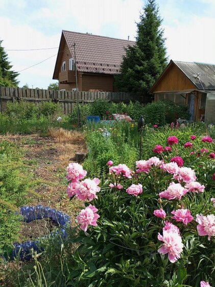 14,3 сотки, участок 9 000 000 ₽ - изображение 36