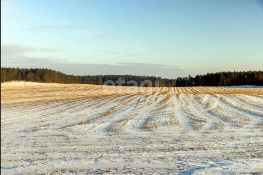 12 соток, участок 130 000 ₽ - изображение 37