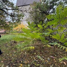 2 сотки, участок - изображение 3