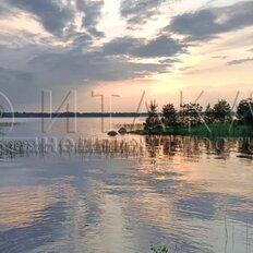 Квартира 44 м², 2-комнатная - изображение 1