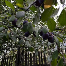 дом + 8,3 сотки, участок - изображение 1