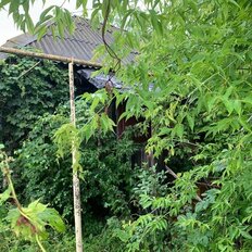 8 соток, участок - изображение 2