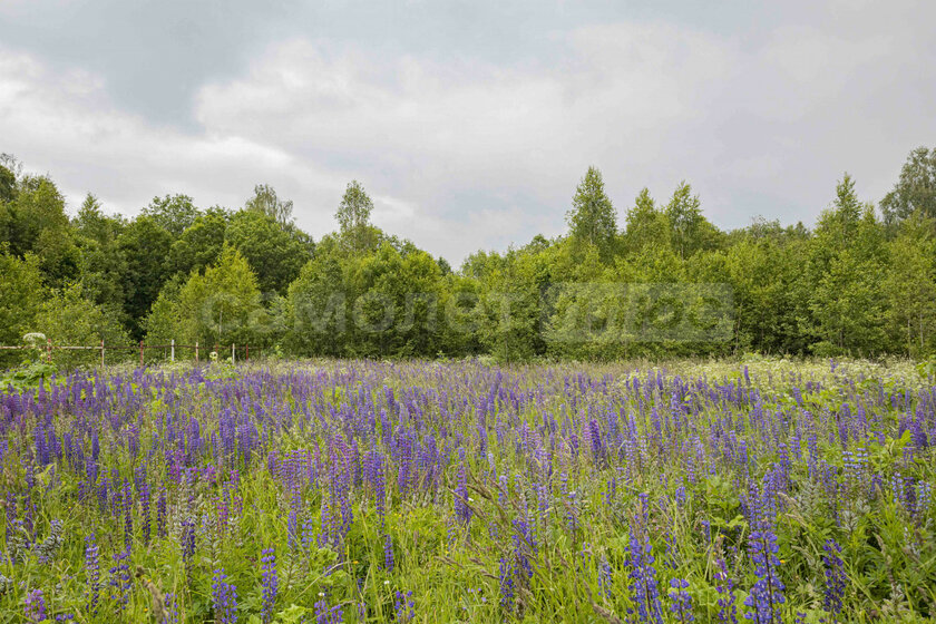 12 соток, участок 4 078 800 ₽ - изображение 57