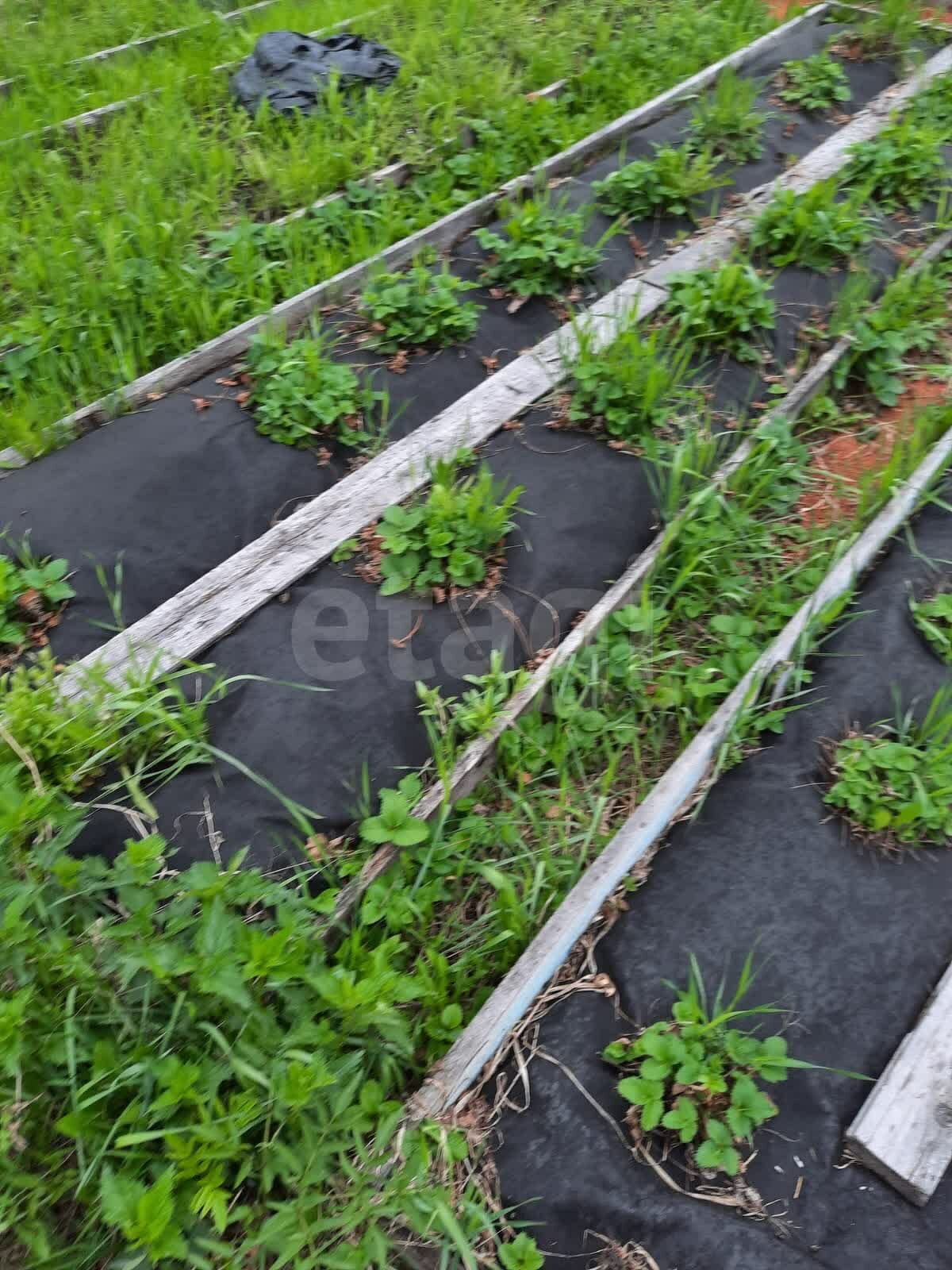 Дом 2-комн. 50 м² в СПК Победит-1 — фото 5