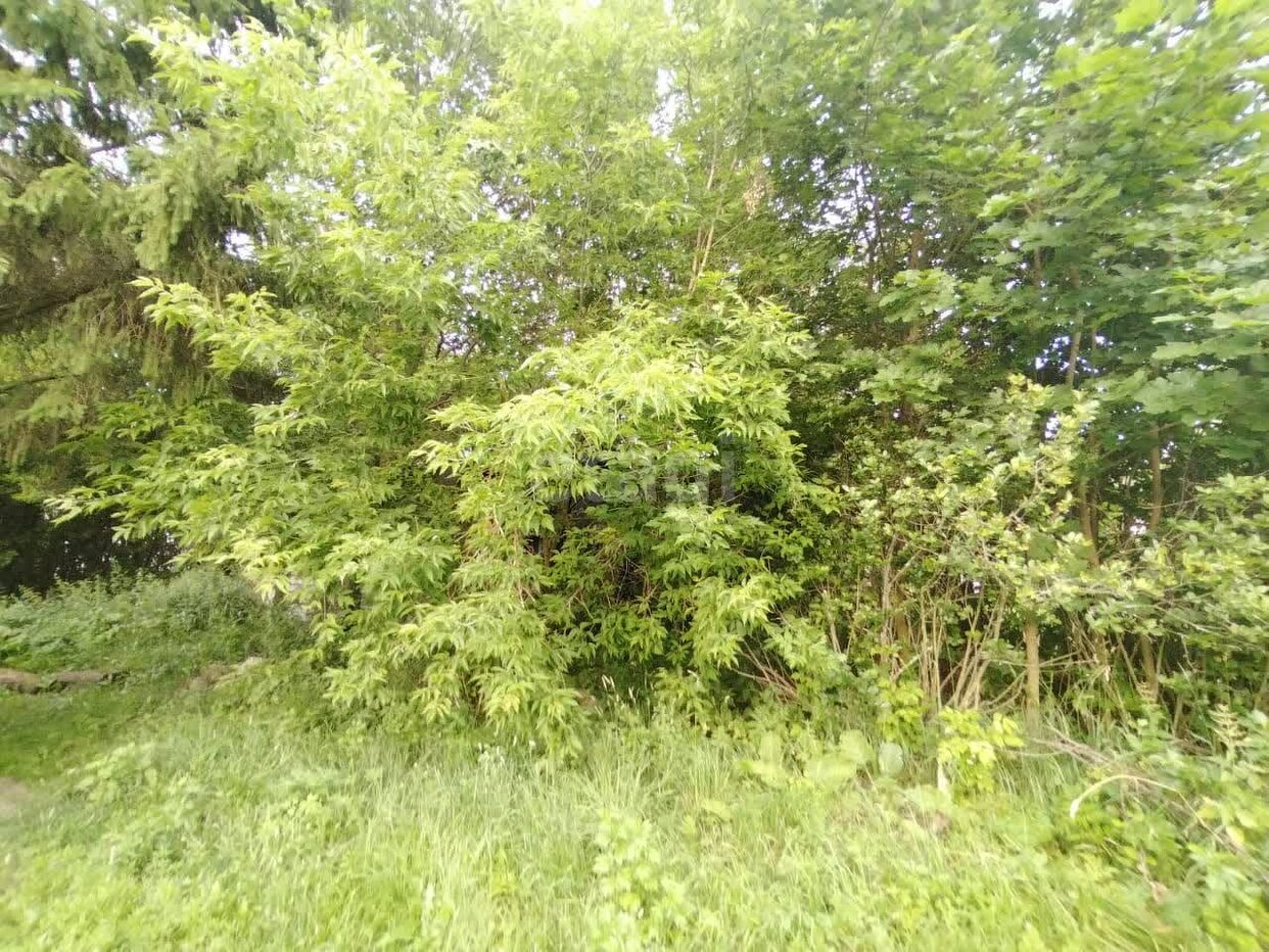 Дом 1-комн. 17.5 м² в деревня Шульгино — фото 5