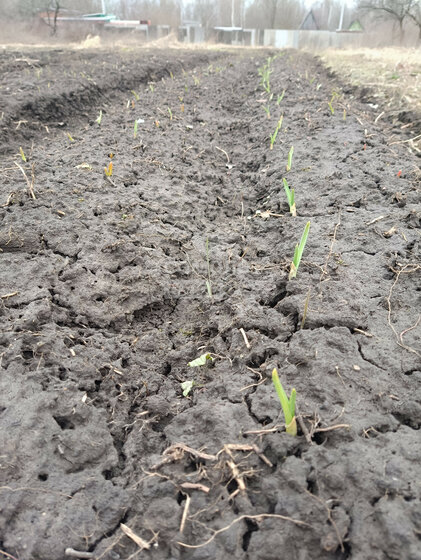 27 соток, участок 900 000 ₽ - изображение 14