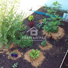 дом + 6 соток, участок - изображение 3