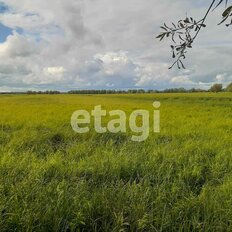 59 га, участок коммерческого назначения - изображение 4