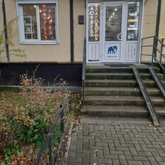 42,8 м², торговое помещение - изображение 1