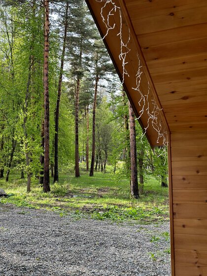 160 м² дуплекс, 10 соток участок 15 000 ₽ в сутки - изображение 35