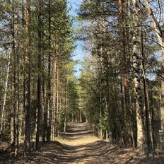 дом + 13,3 сотки, участок - изображение 1