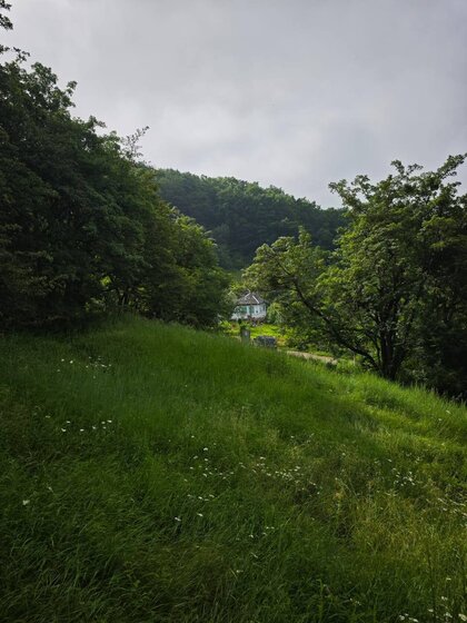 6 соток, участок 7 500 000 ₽ - изображение 9