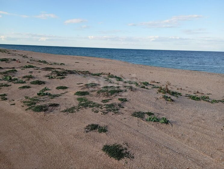 6 соток, участок 750 000 ₽ - изображение 53