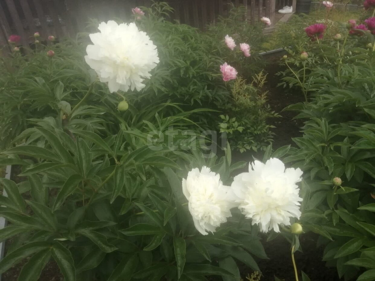 Дом 1-комн. 36 м² в Лангепас — фото 17 из 30