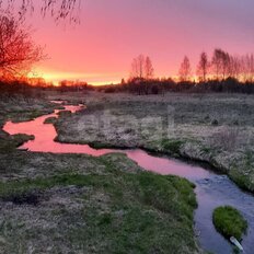 11,9 сотки, участок - изображение 4