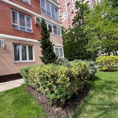 13,3 м², помещение свободного назначения - изображение 5