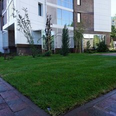 Квартира 38,8 м², 1-комнатная - изображение 5