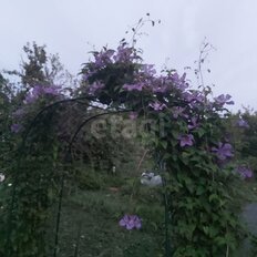 дом + 10,5 сотки, участок - изображение 2