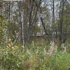 10 соток, участок - изображение 2