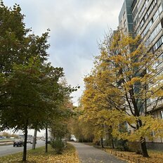 Квартира 39 м², 1-комнатная - изображение 2