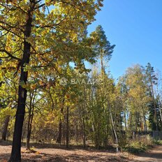 7,7 сотки, участок - изображение 4