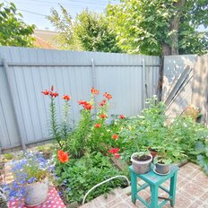 дом + 3,8 сотки, участок - изображение 3