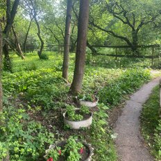 Квартира 53,6 м², 3-комнатная - изображение 1