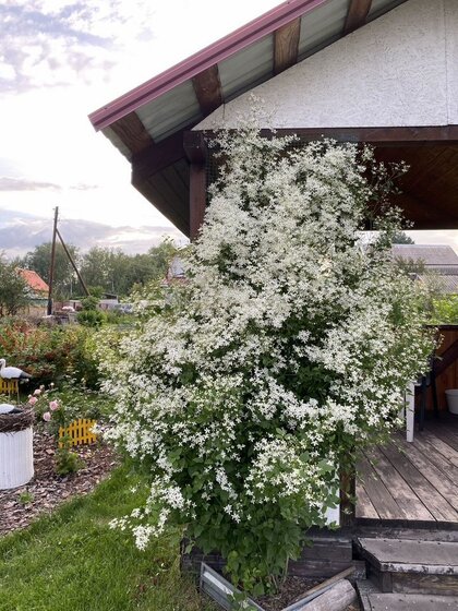 41,8 м² дом, 46 соток участок 1 700 000 ₽ - изображение 38