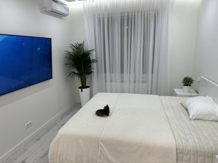 235 м², помещение свободного назначения 165 000 ₽ в месяц - изображение 21
